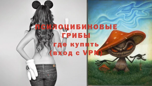 хмурый Вязьма